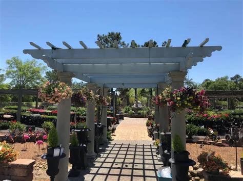 Marks Greenhouse in Albany, GA: A Haven for Plant Lovers