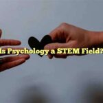 Is Psychology a STEM Field?