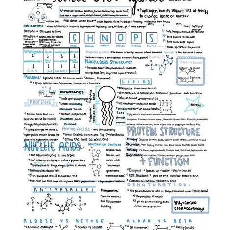 AP Biology Unit 1 Quizlet: Master the Fundamentals of Life