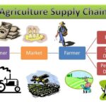 Farmers’ Grain Terminal: A Vital Link in the Agricultural Supply Chain