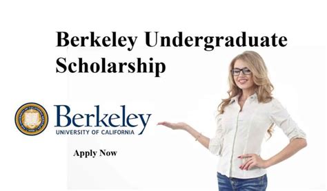 Berkeley Undergraduate Scholarship: Gateway to Excellence