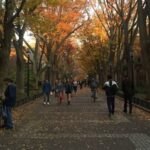 Locust Walk: The Quintessential Penn Experience