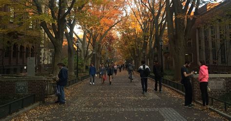 Locust Walk: The Quintessential Penn Experience