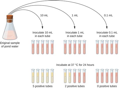 Why Does MPN Require References?