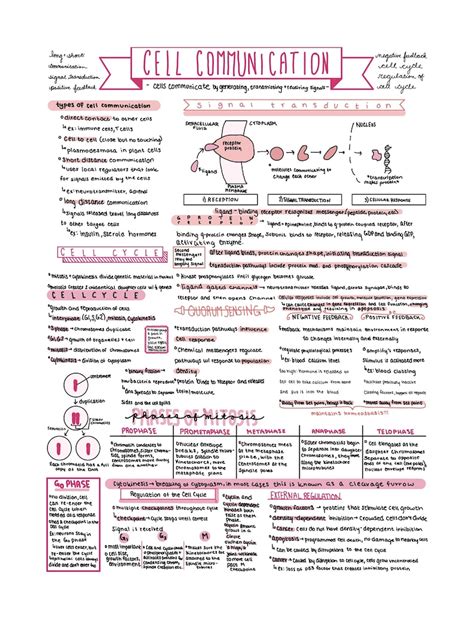 AP Bio Unit 4 Review: A Comprehensive Guide to the Mechanisms of Evolution