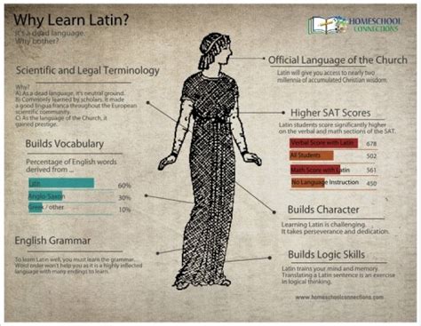 How Long Does It Take to Learn Latin?