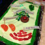 Cake Plant Cell Project: A Fun and Edible Way to Learn Biology Additional Resources Common Mistakes to Avoid Strategies for Success Variations Applications Conclusion