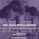 Mensa US Scholarship: All You Need to Know