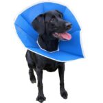 Inflatables for Added Comfort Soft Collars for Sensitive Noses Protective Shirts for Easy Access Muzzles for Short-Term Use Bandages and Wraps for Specific Injuries Choosing the Best Alternative for Your Dog Tips for Using Cone Alternatives Frequently Asked Questions Conclusion