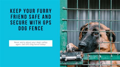 Inside Electric Fence for Dogs: A Comprehensive Guide to Keeping Your Furry Friend Safe and Secure
