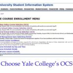 Yale Preference Selection: Maximize Your Chances of Success