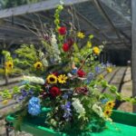 Flower Shops in Jasper, Alabama: A Floral Paradise Awaits