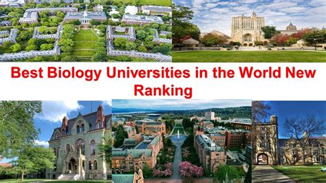 Best Biology Undergraduate Schools: A Comprehensive Guide