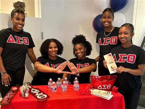 Movies About Sororities and Fraternities: Exploring the Campus Culture