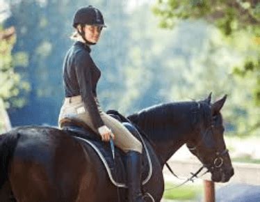 Horse Riding Boarding Schools: A Comprehensive Guide to Education and Equestrian Excellence