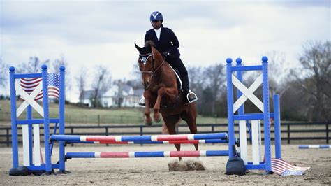 American Quarter Horse Association Scholarships: Empowering Aspiring Equestrians