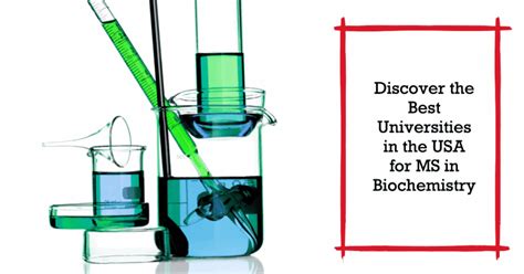 Best Biochemistry Programs: A Deep Dive into the Top Universities for Biochemistry Education
