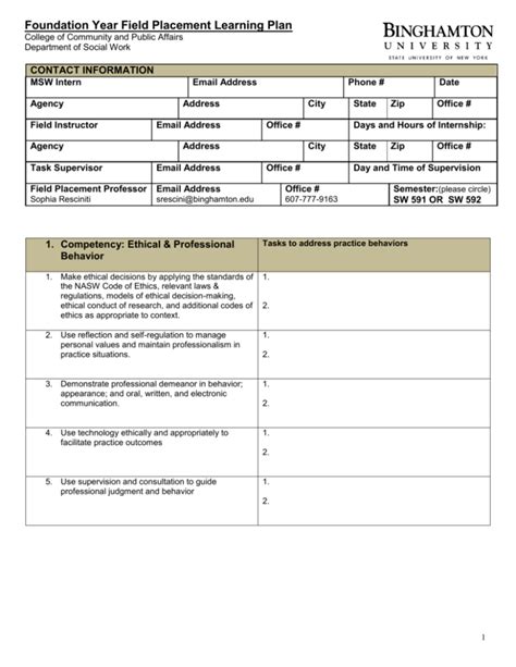 Aurora University Field Placement Learning Plan: Unleashing Potential