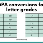 GPA with CS and BS: A Comprehensive Guide to Academic Achievement