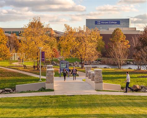 Harper College Pool: A Comprehensive Guide to Facilities and Programs