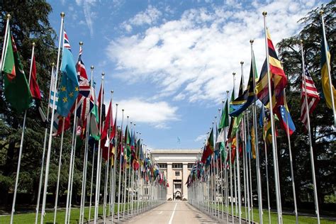 Top International Relations Schools: Shaping Global Leaders