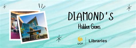 Transient Student: Uncovering the Hidden Gem at UCF