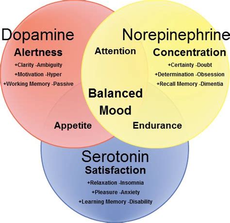 Dopamine: The Neurotransmitter of Motivation and Reward in AP Psychology