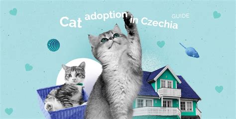 Alvin Animal Adoption: Your Guide to Finding a Purrfect Companion