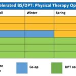 Drexel University’s Doctor of Physical Therapy Program: A Journey Towards Excellence Program Overview Additional Information Tables