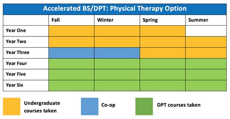 Drexel University’s Doctor of Physical Therapy Program: A Journey Towards Excellence Program Overview Additional Information Tables