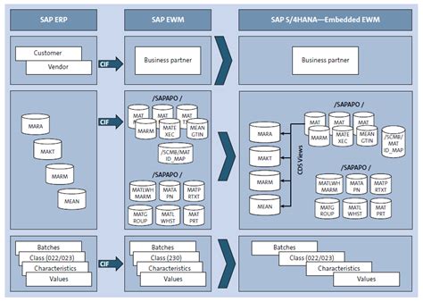Tables in SAP: A Comprehensive Overview for Enhanced Data Management