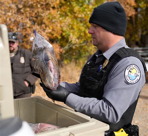 Game and Fish Wardens: Guardians of Nature and Enforcers of the Law