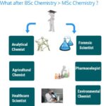 Jobs in Chemistry Near Me: Explore Rewarding Career Opportunities