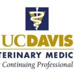 UC Davis Vet Tuition: A Comprehensive Guide