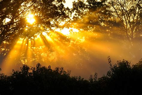 Shining Like the Sun Through the Postwar Days…