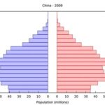 Zero Population Growth: A Critical Examination in AP Human Geography