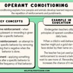 Operant Conditioning: Definition and Applications in AP Psychology Strategies for Effective Operant Conditioning