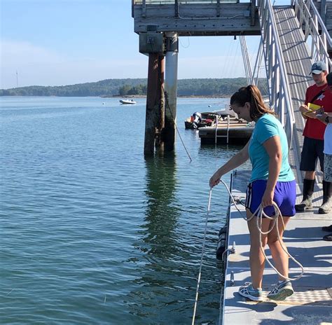 Schiller Coastal Studies Center: Exploring Marine Science, Coastal Ecosystems, and Environmental Conservation