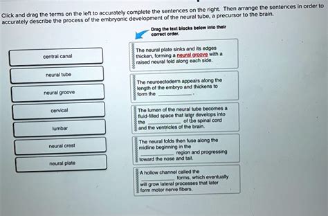 Which Sentence Most Accurately Describes the Sequence of Events?