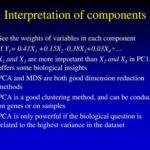 Path Biological Weights: Insights into Human Weight-Related Conditions