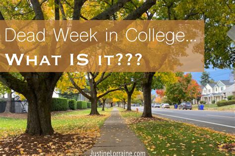 Dead Week Dilemma: Surviving the Toughest Week of College