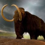 The Woolly Mammoth: Ancient Giant with Unwavering Significance Keywords Tables