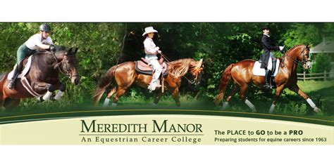 Meredith Manor Equestrian: A Comprehensive Guide to the Premier Equestrian Facility