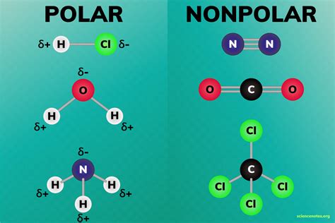 Are Polar or Nonpolar Compounds More Conductive?