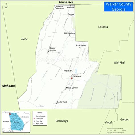 Most Produced Livestock in Walker County, Georgia