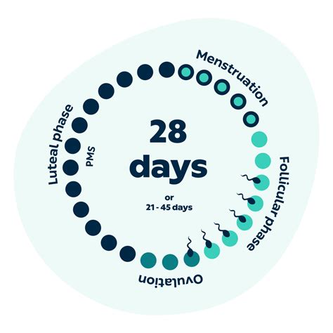 How Long is 22 Days?