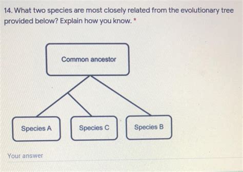 How Two Pairs of Species Are Related