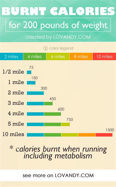 Does Taking the SAT Burn the Same Calories as Running?