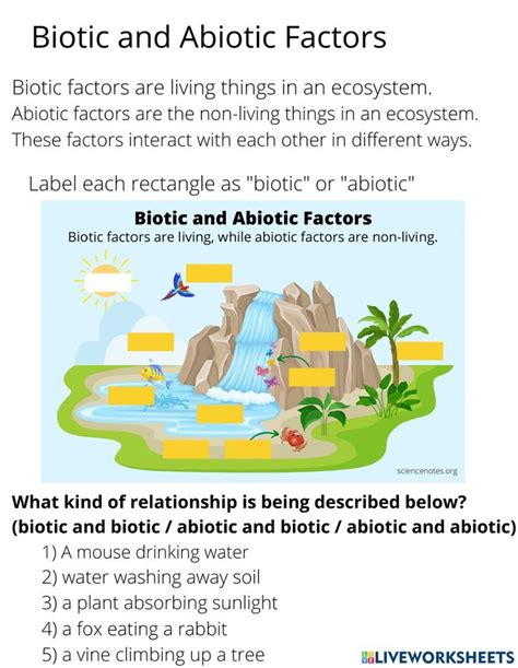 What Wood a Biotic or Abiotic Factor? Biotic and Abiotic Factors The Role of Wood in Ecosystems The Importance of Wood in Human Society Table 1: Biotic and Abiotic Factors Table 2: The Role of Wood in Ecosystems Table 3: The Importance of Wood in Human Society Table 4: Tips and Tricks for Using Wood Common Mistakes to Avoid When Using Wood FAQs Conclusion