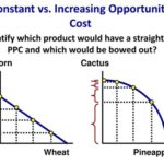 Constant Opportunity Cost Graph: Demystifying the Consequences of Choice